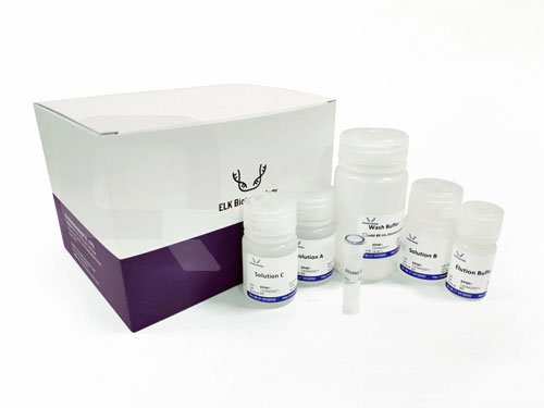 Kit de detección del potencial de membrana mitocondrial