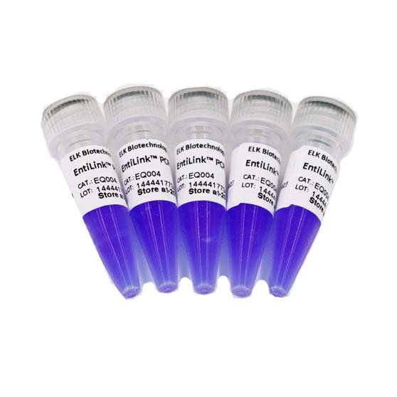 Mezcla Maestra para PCR EntiLink™