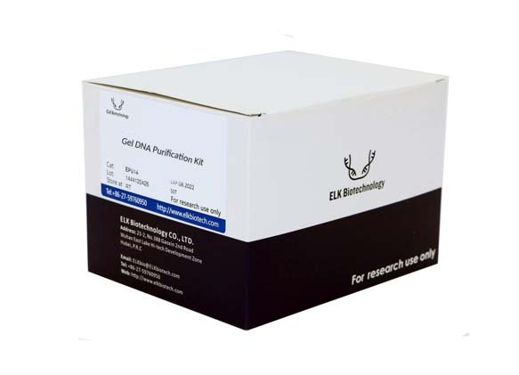 Kit de purificación de ADN en gel