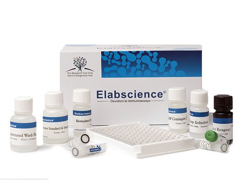 Kit ELISA para leptina humana (LEP)