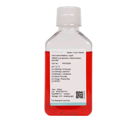 DMEM (bajo en glucosa), sin piruvato de sodio