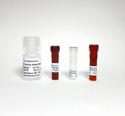 Ensayo de actividad de glucosa oxidasa rápida (colorimétrico/fluorométrico)