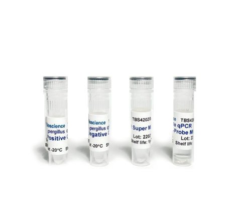 Detección universal de Aspergillus mediante qPCR TaqMan