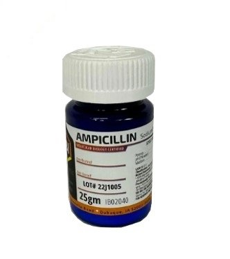 Ampicilina - IB02040
