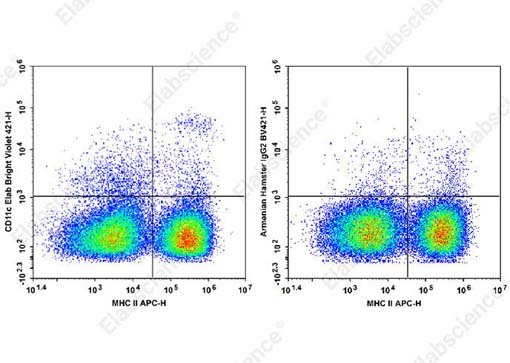 Elab Bright™ Violet 421 Anti-Mouse CD11c Antibody[N418]