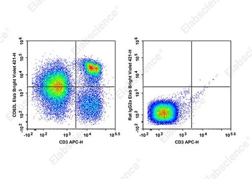 Elab Bright™ Violet 421 Anti-Mouse CD62L Antibody[MEL-14]