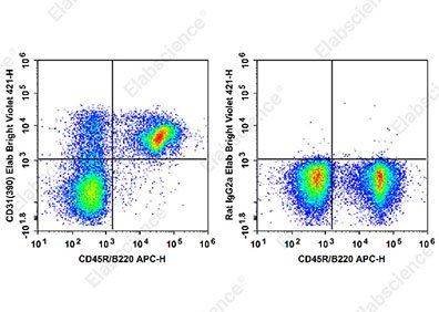 Elab Bright™ Violet 421 Anti-Mouse CD31 Antibody[390]