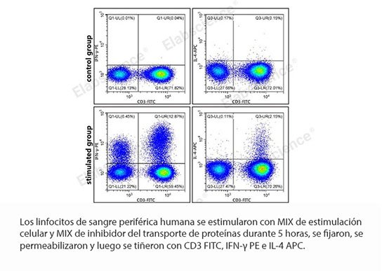 Kit de estimulación celular e inhibidor del transporte de proteínas