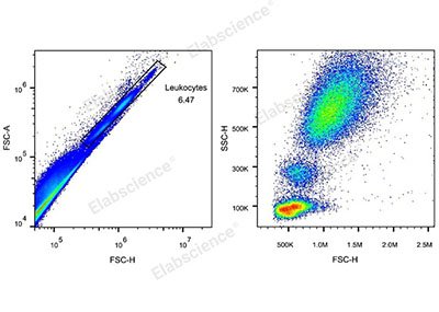 Solución de lisis/fijación de glóbulos rojos 10×