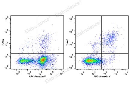 Reactivo 7-AAD (100 μg/mL)