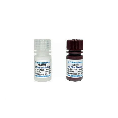 Kit de tinción de fosfatasa alcalina azul
