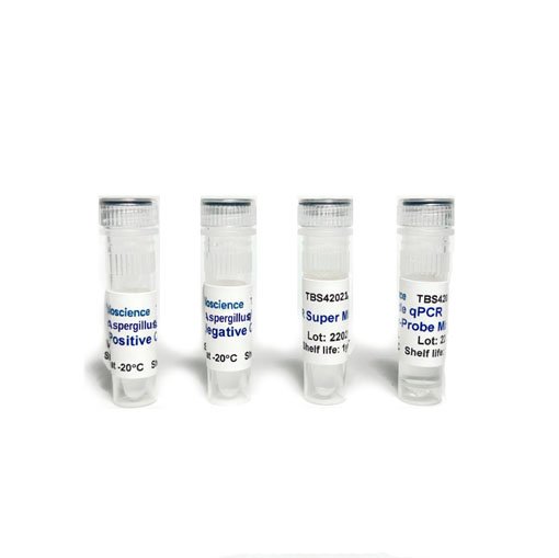 Detección de Aspergillus Flavus mediante PCR TaqMan